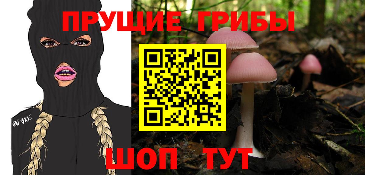 Псилоцибиновые грибы Cubensis Усолье-Сибирское